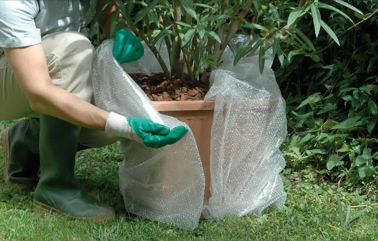 Usi il tessuto non tessuto per le piante? Ecco cosa è veramente e gli errori comuni