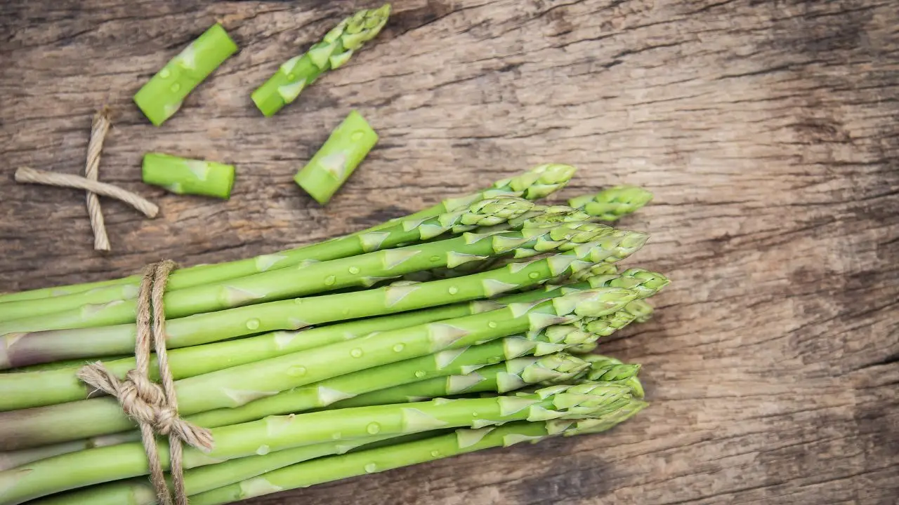 Coltivare asparagi conviene davvero? Ecco i numeri reali che nessuno ti dice