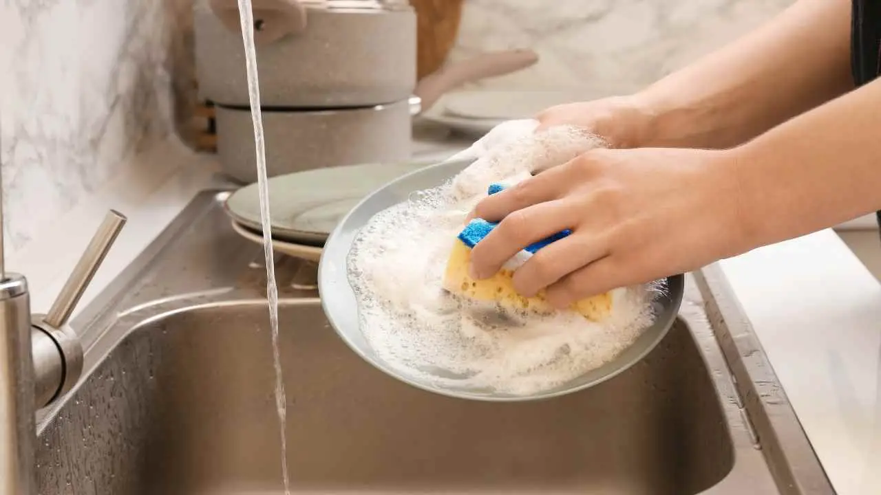 Non usare più la spugna per lavare i piatti: ecco il metodo alternativo più igienico