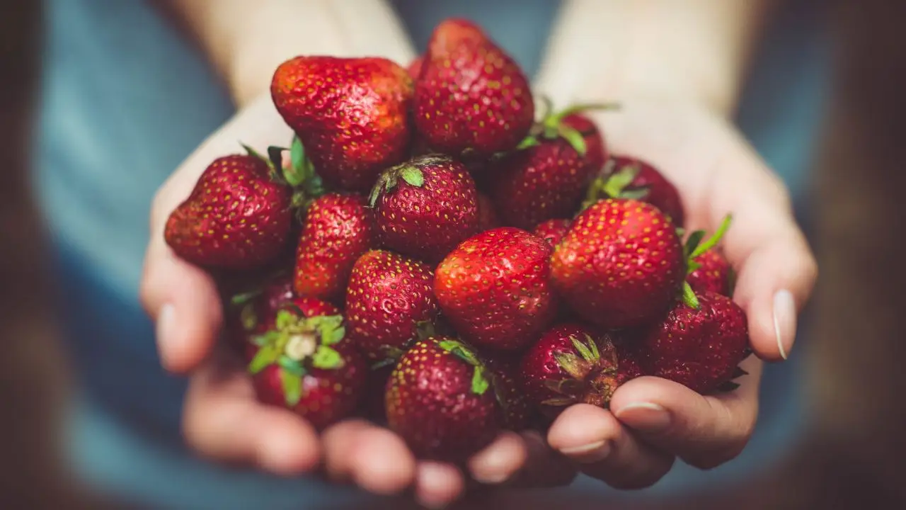 Mangiare fragole ogni giorno: ecco cosa succede