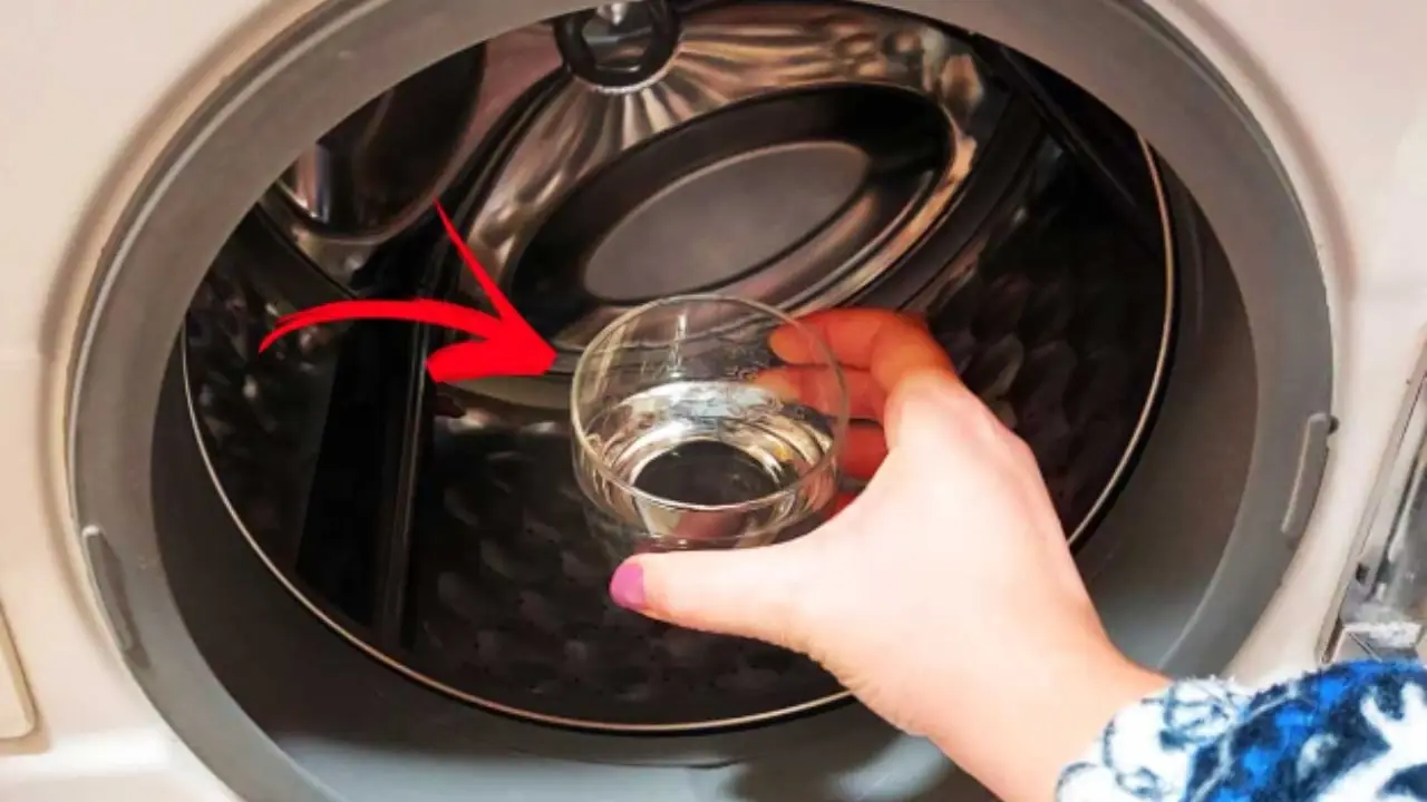 Metti l’aceto in questo punto esatto della lavatrice: il trucco per capi puliti e lavatrice splendida